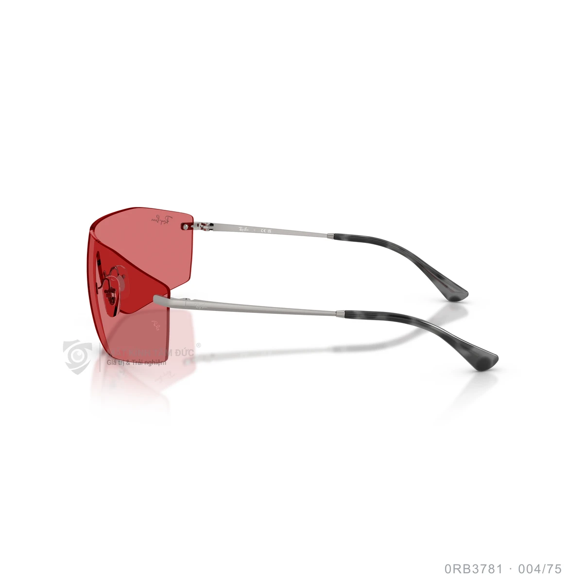 Kính mát Rayban 0RB3781 - Ảnh 19