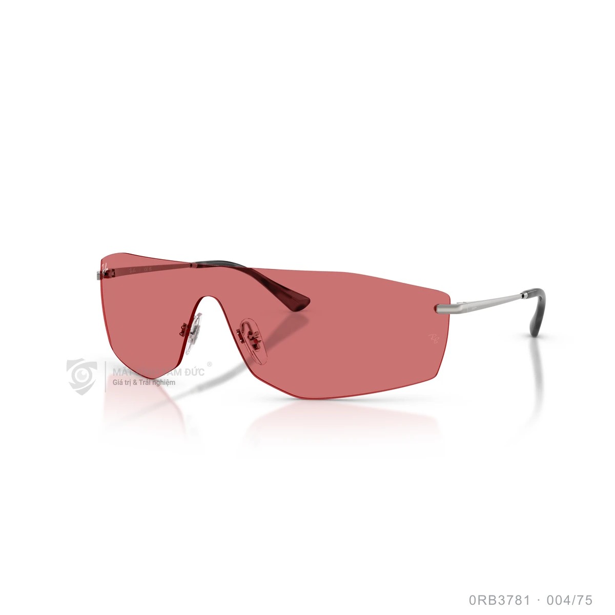 Kính mát Rayban 0RB3781 - Ảnh 17