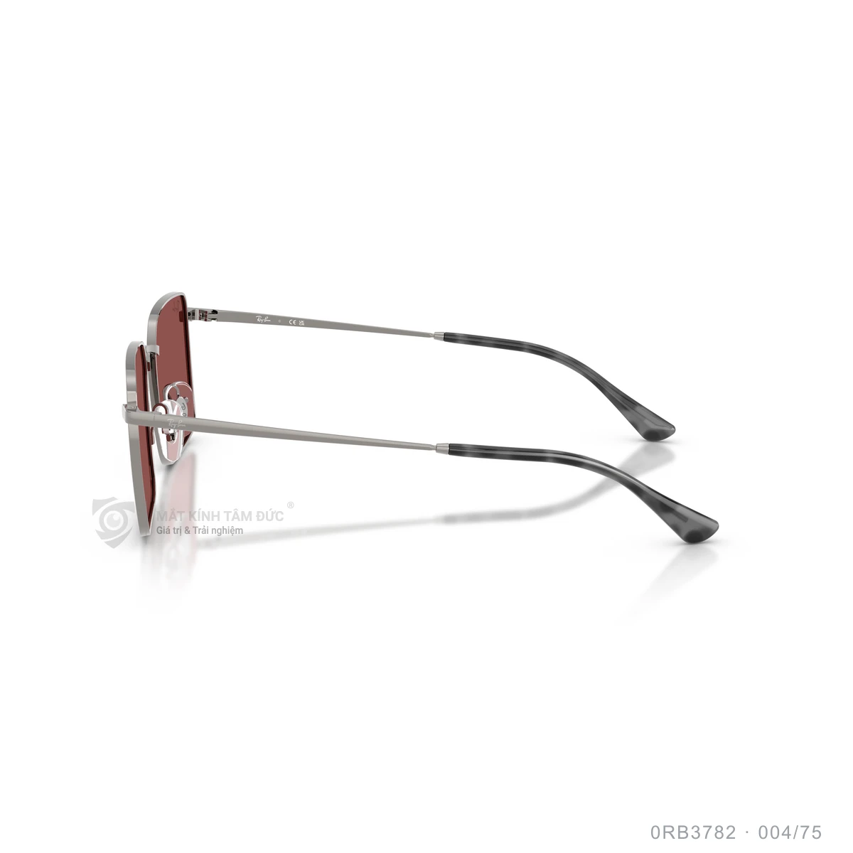 Kính mát Rayban 0RB3782 - Ảnh 19