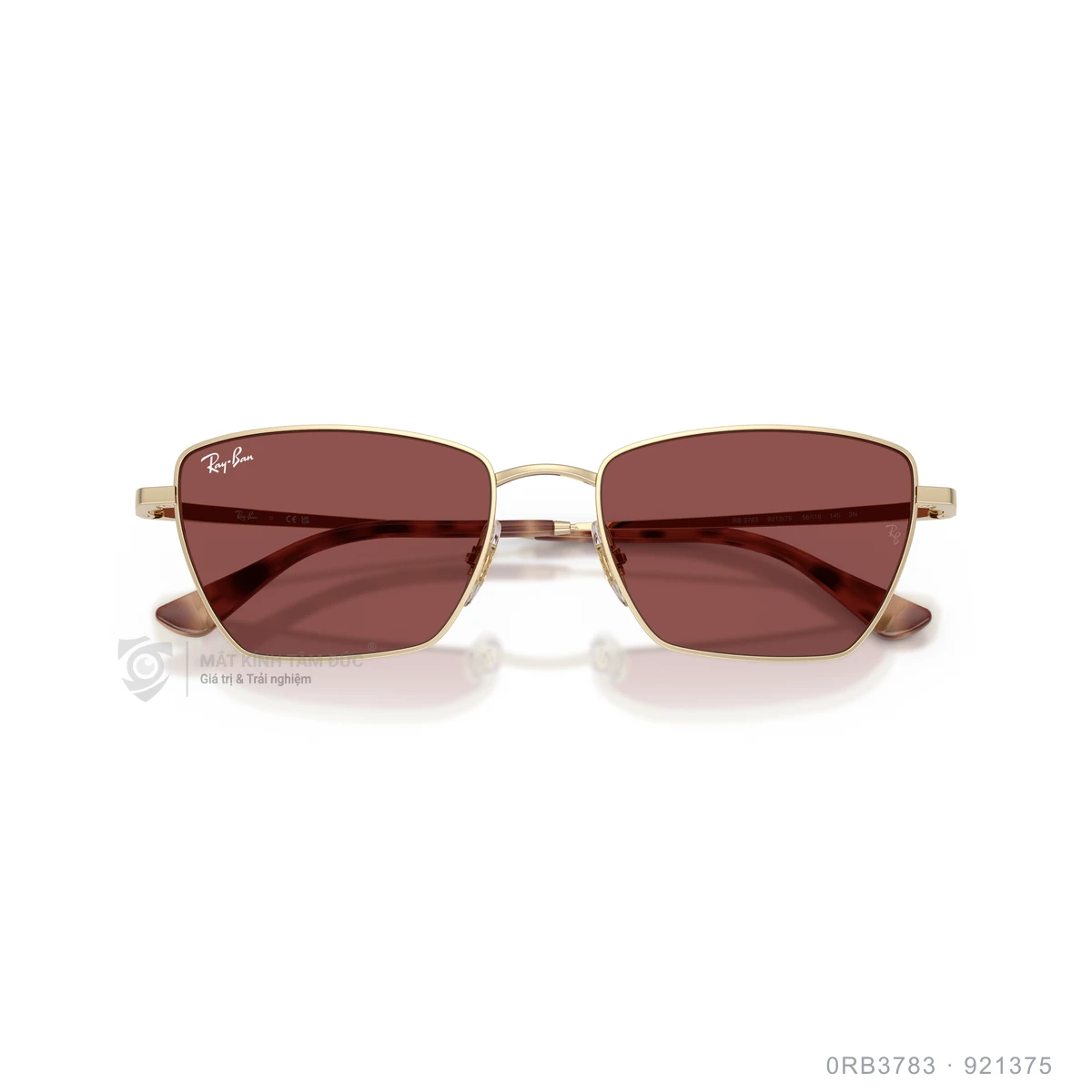 Kính mát Rayban 0RB3783 - Ảnh 13