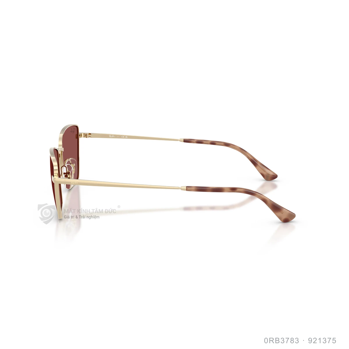 Kính mát Rayban 0RB3783 - Ảnh 14