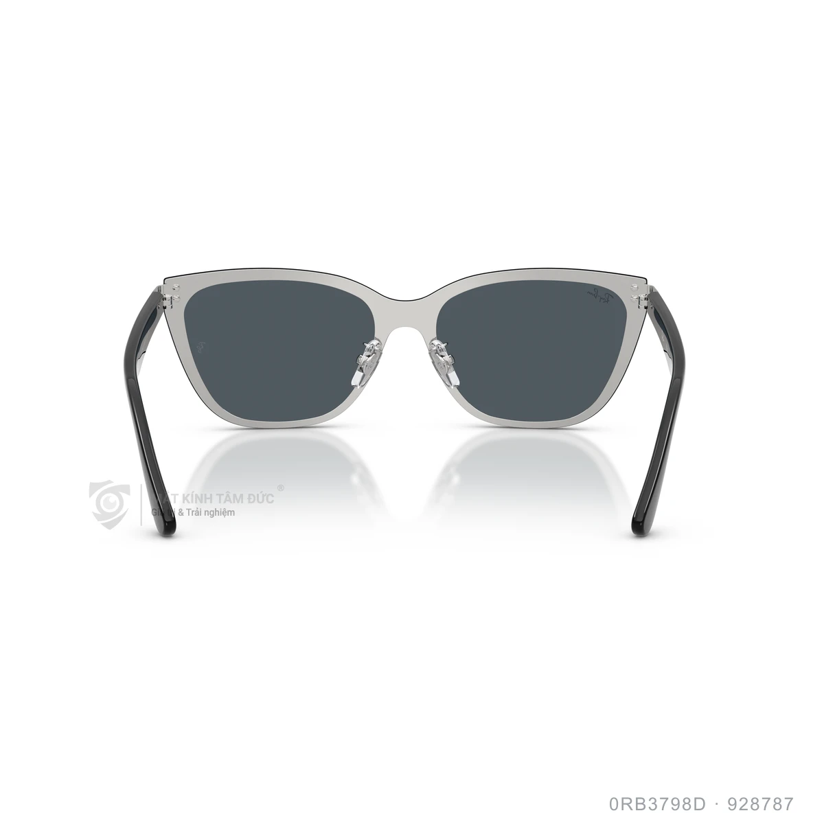 Kính mát Rayban 0RB3798D - Ảnh 15