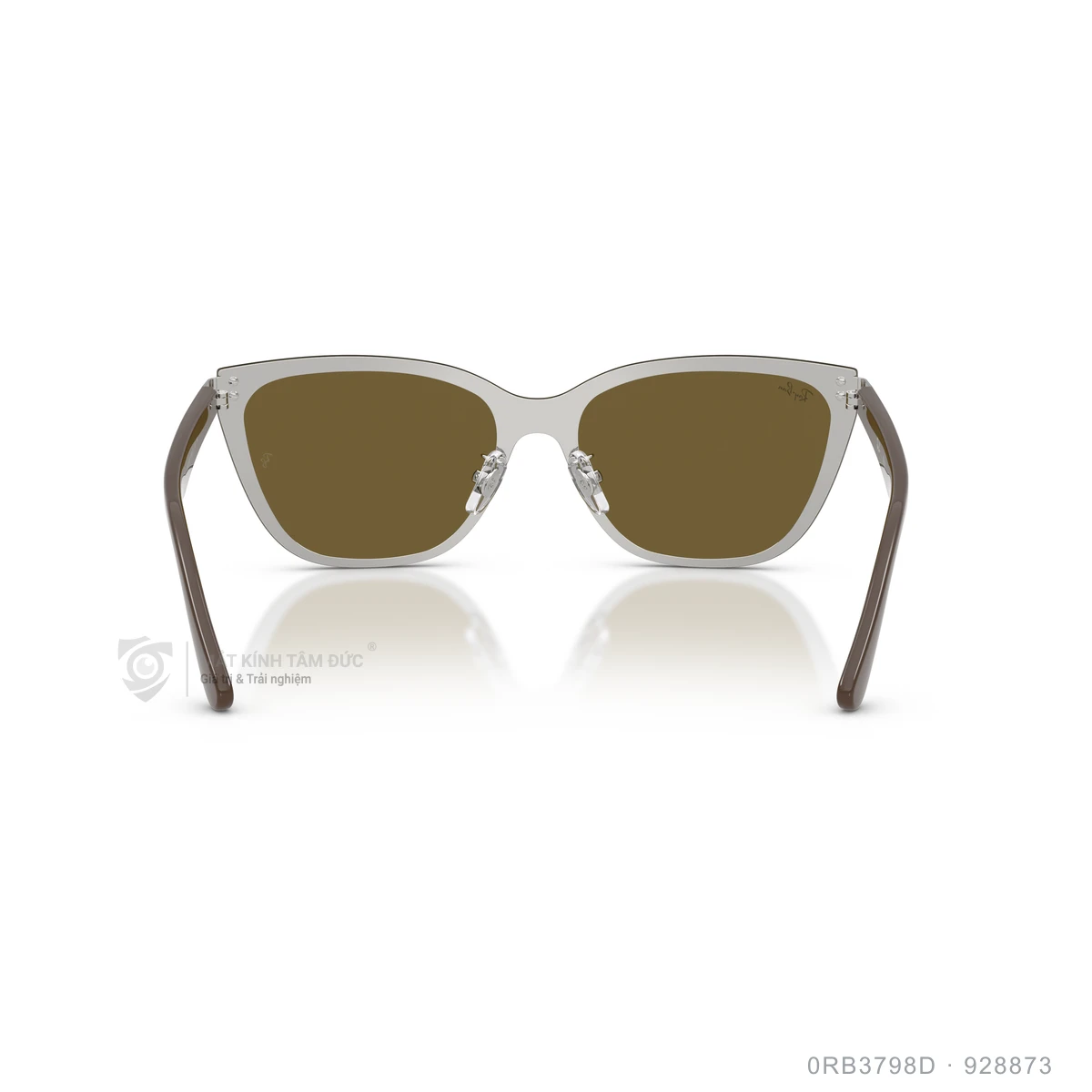 Kính mát Rayban 0RB3798D - Ảnh 20