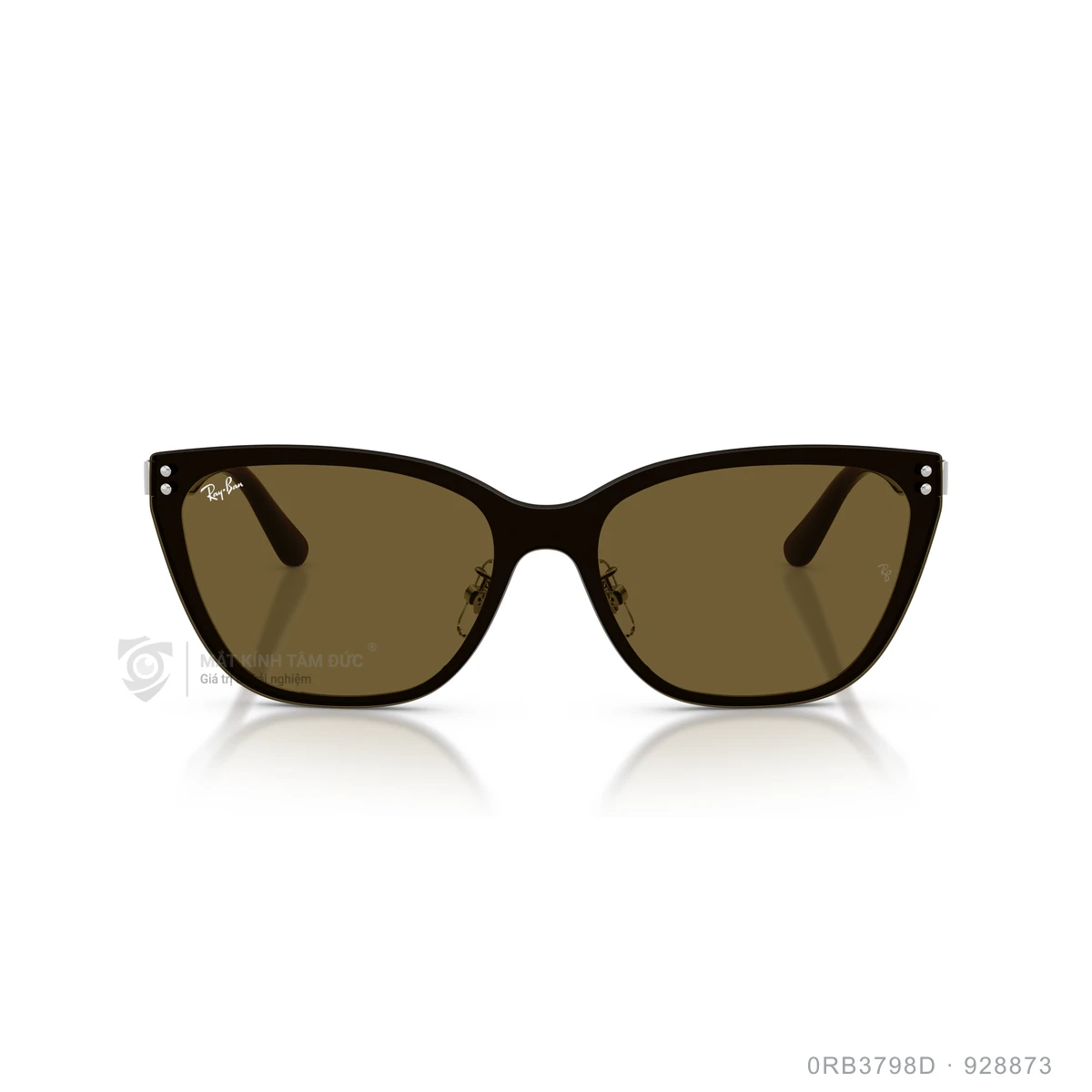 Kính mát Rayban 0RB3798D - Ảnh 16