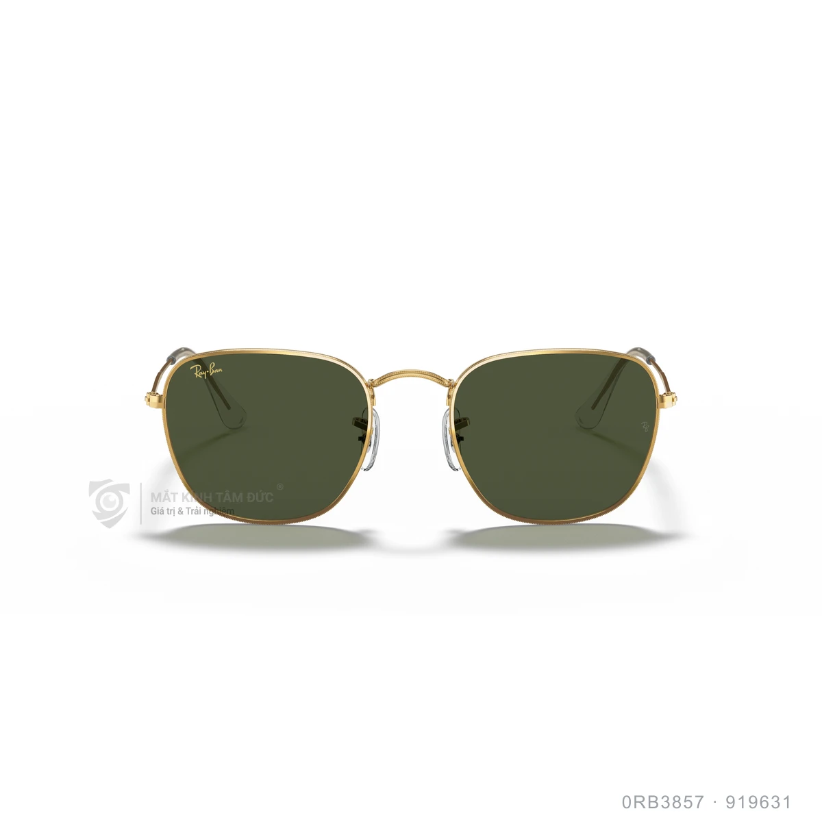 Kính mát Rayban 0RB3857 - Ảnh 1