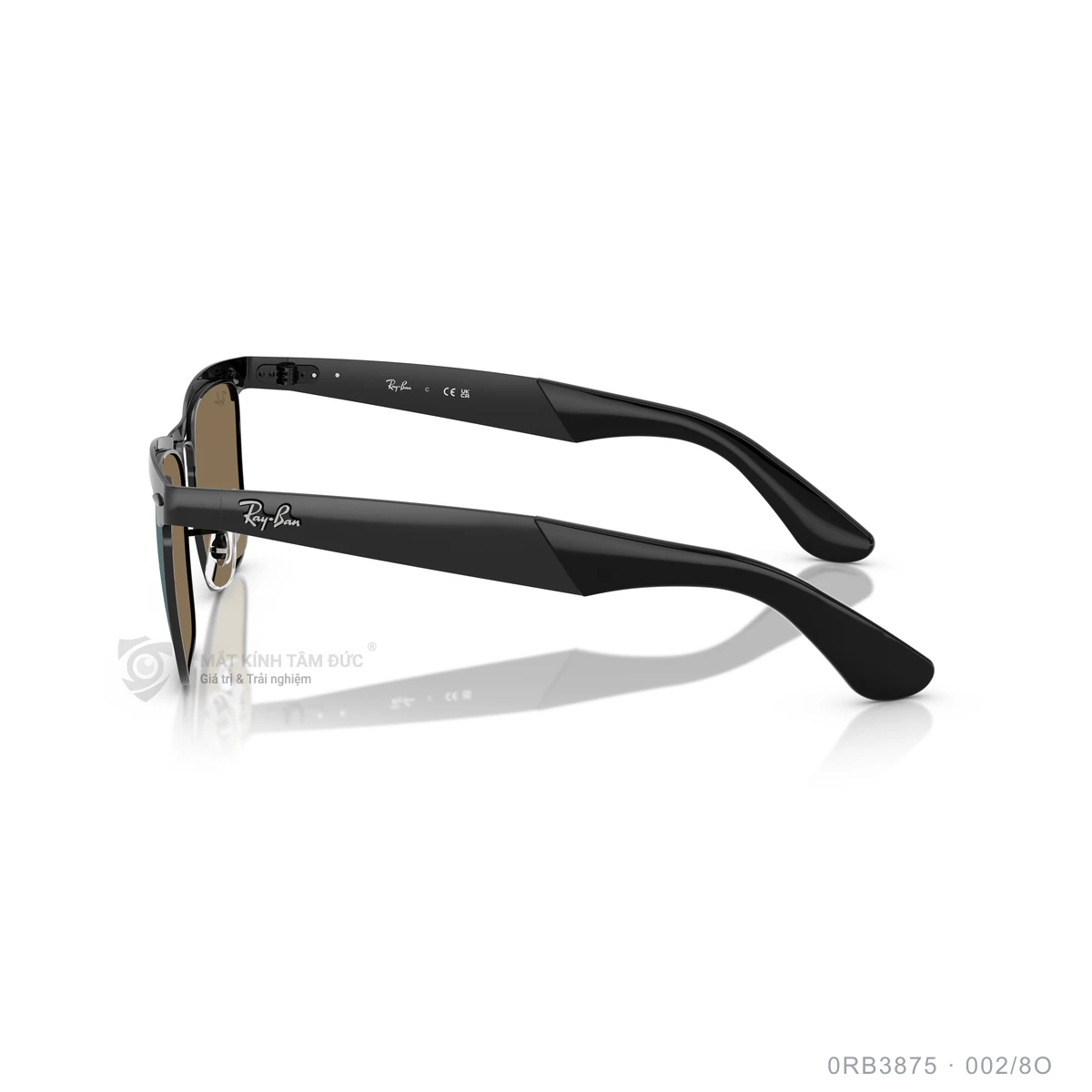 Kính mát Rayban 0RB3875 - Ảnh 9