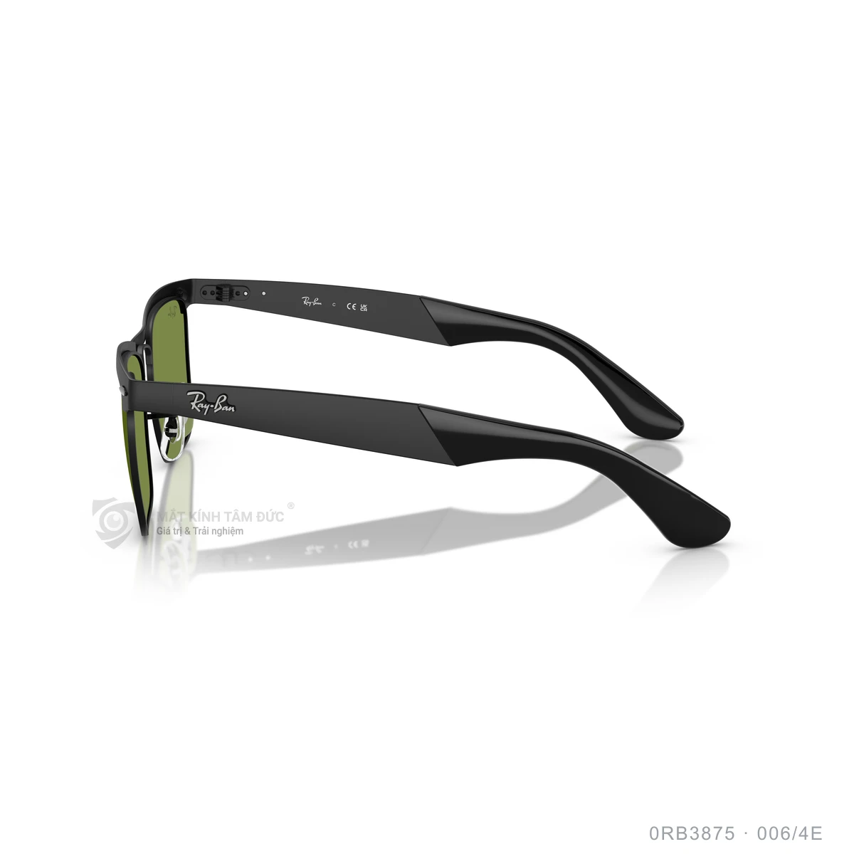 Kính mát Rayban 0RB3875 - Ảnh 14