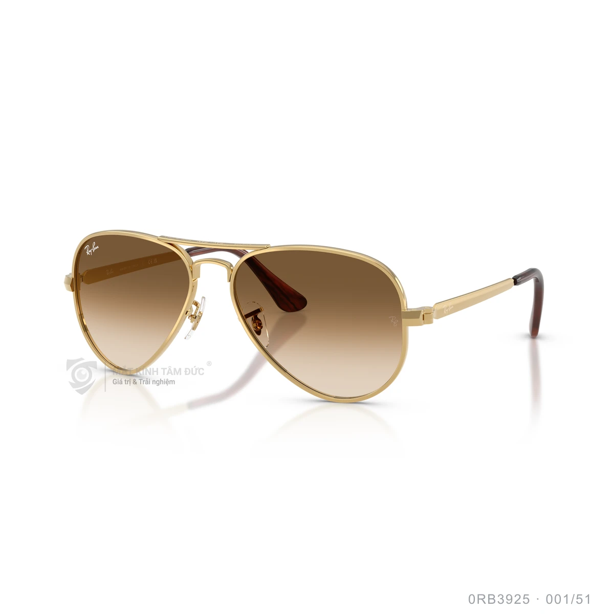 Kính mát Rayban 0RB3925 - Ảnh 27