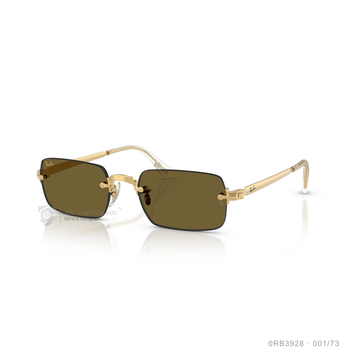 Kính mát Rayban 0RB3928 - Ảnh 12