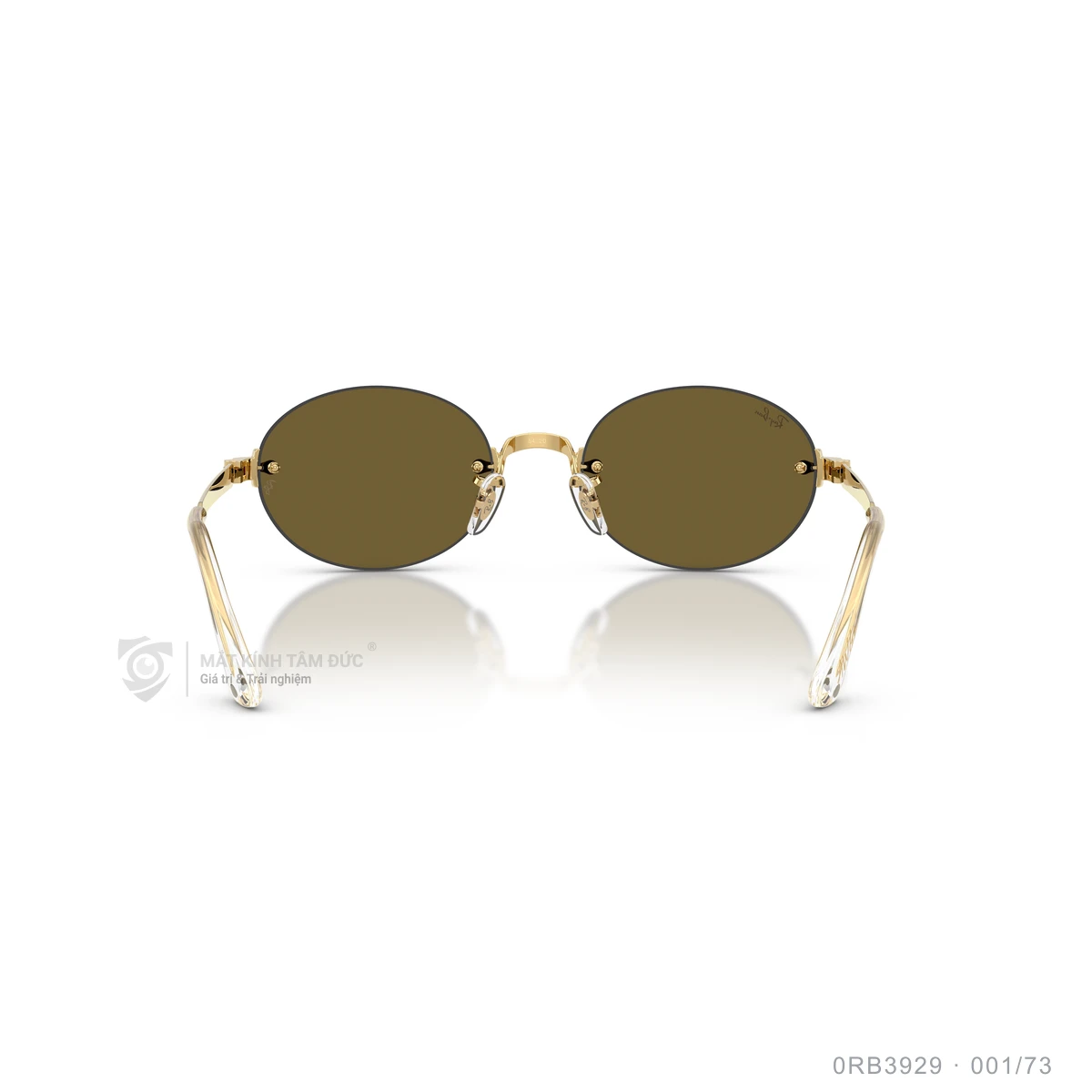 Kính mát Rayban 0RB3929 - Ảnh 15