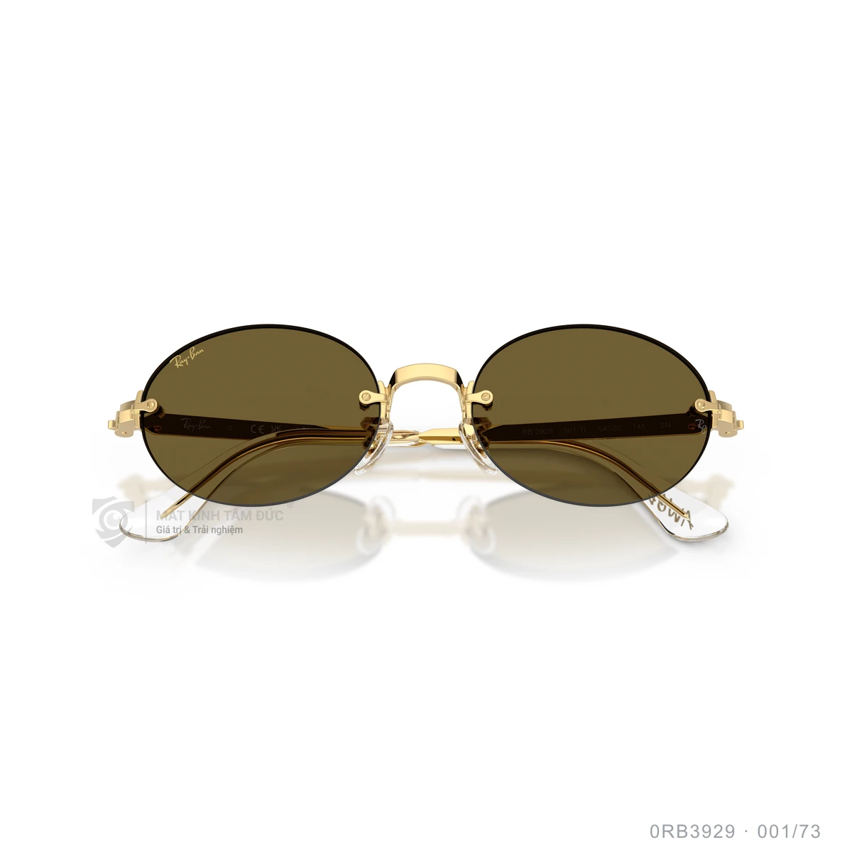 Kính mát Rayban 0RB3929 - Ảnh 13