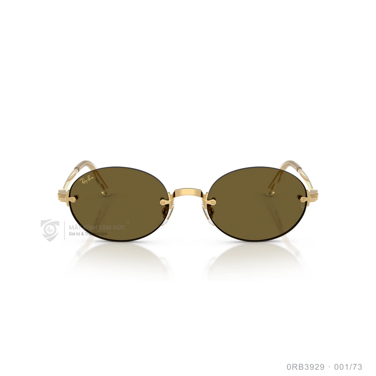 Kính mát Rayban 0RB3929 - Ảnh 11