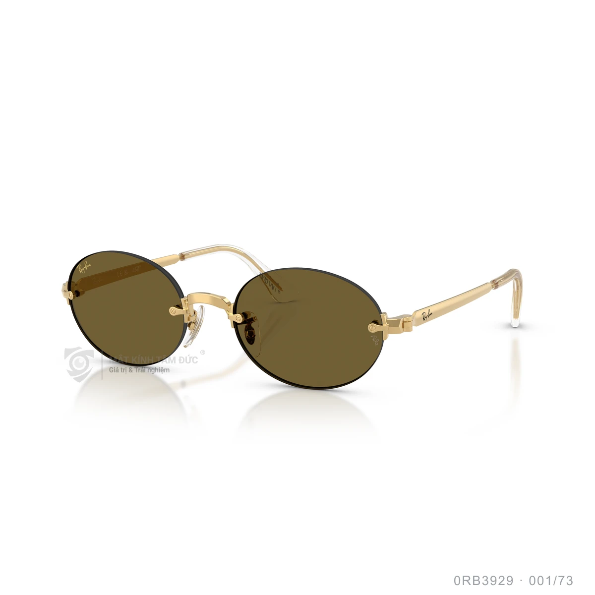 Kính mát Rayban 0RB3929 - Ảnh 12