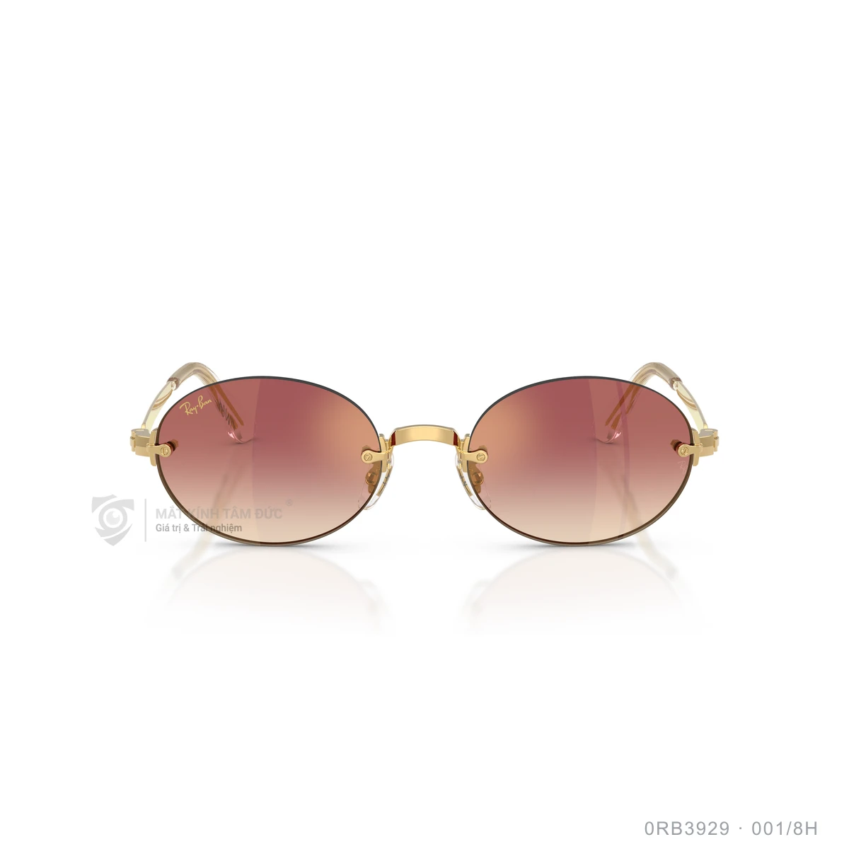 Kính mát Rayban 0RB3929 - Ảnh 21