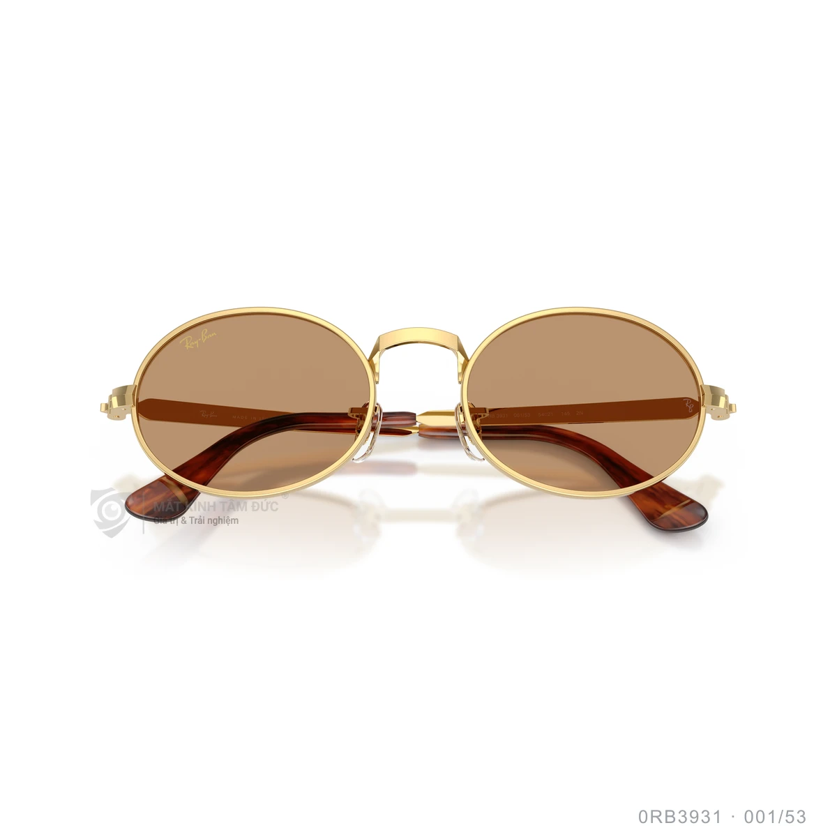 Kính mát Rayban 0RB3931 - Ảnh 13
