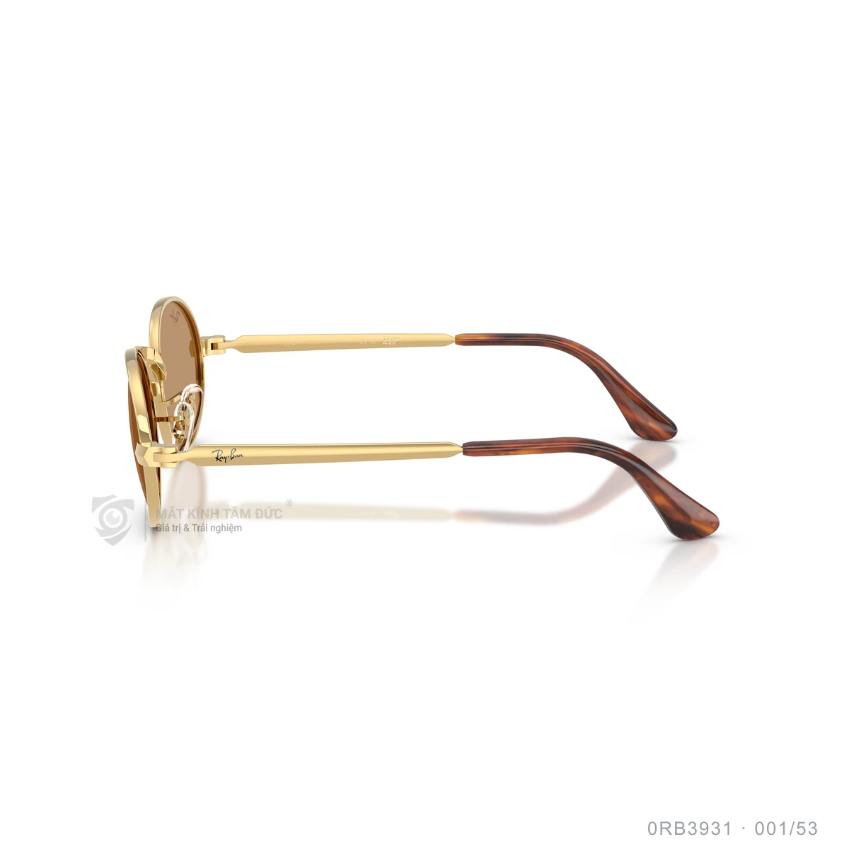 Kính mát Rayban 0RB3931 - Ảnh 14