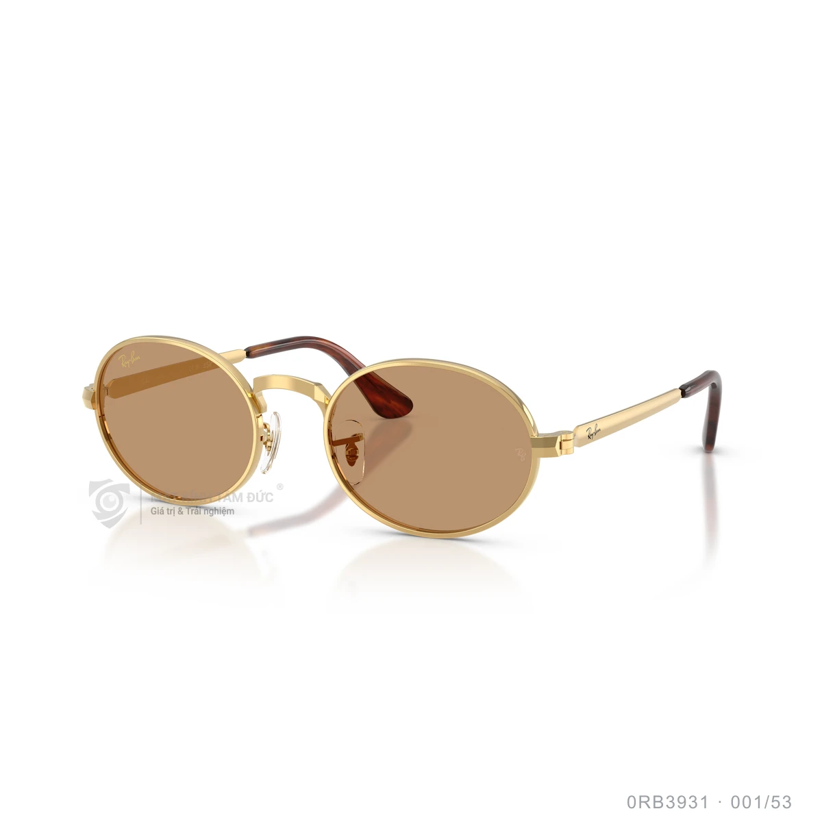 Kính mát Rayban 0RB3931 - Ảnh 12