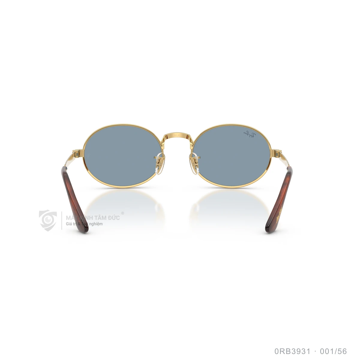 Kính mát Rayban 0RB3931 - Ảnh 20