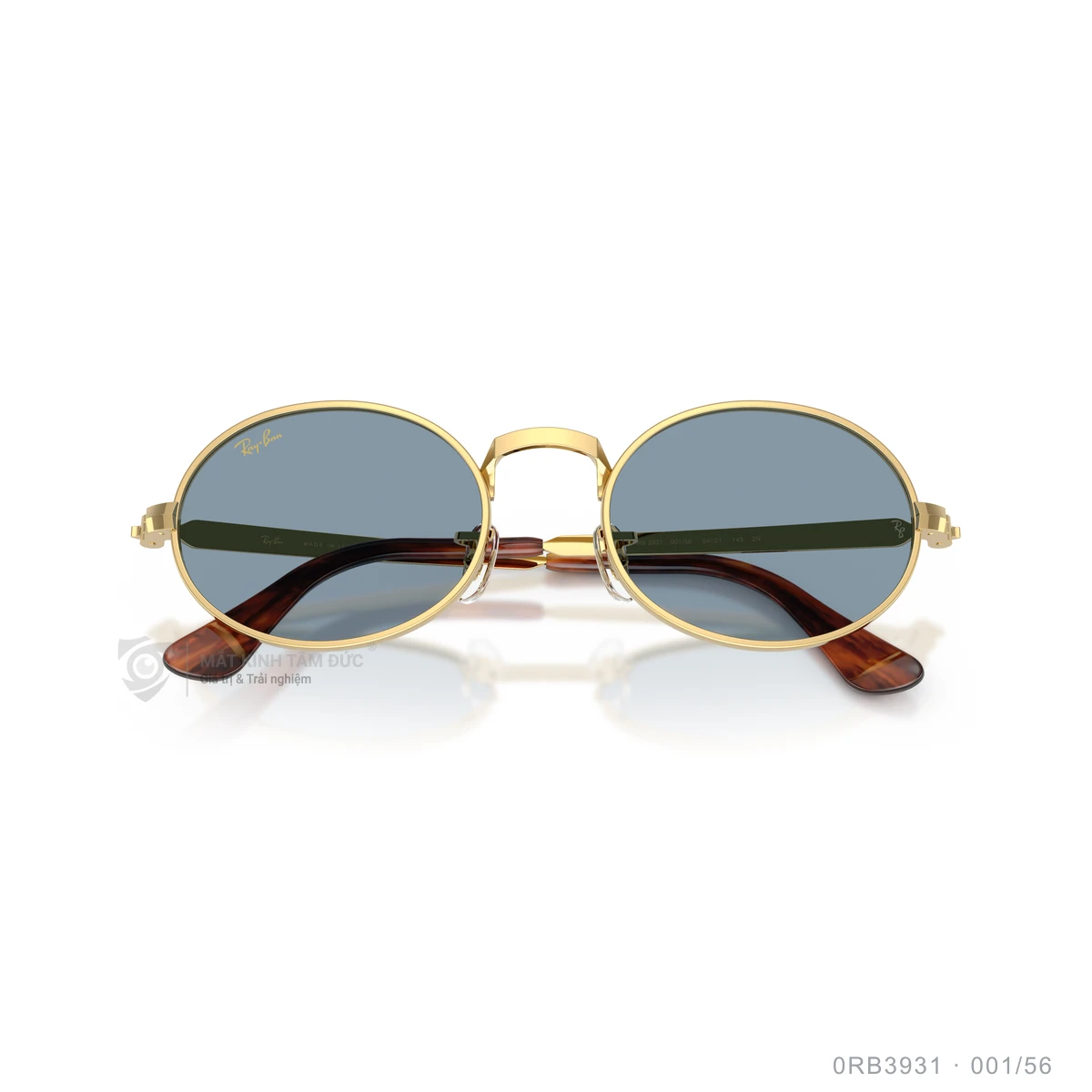 Kính mát Rayban 0RB3931 - Ảnh 18
