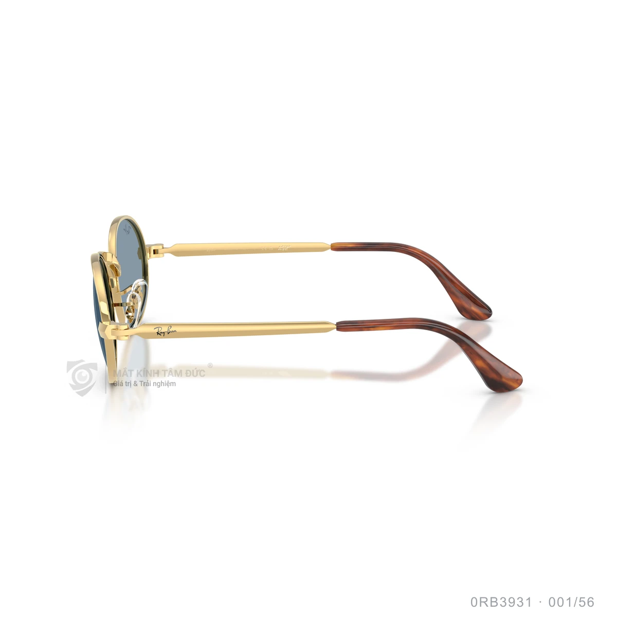 Kính mát Rayban 0RB3931 - Ảnh 19