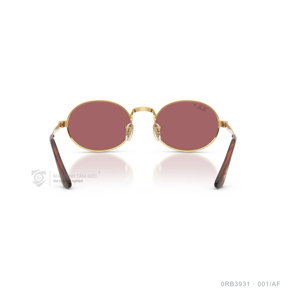 Kính mát Rayban 0RB3931 - Ảnh 30