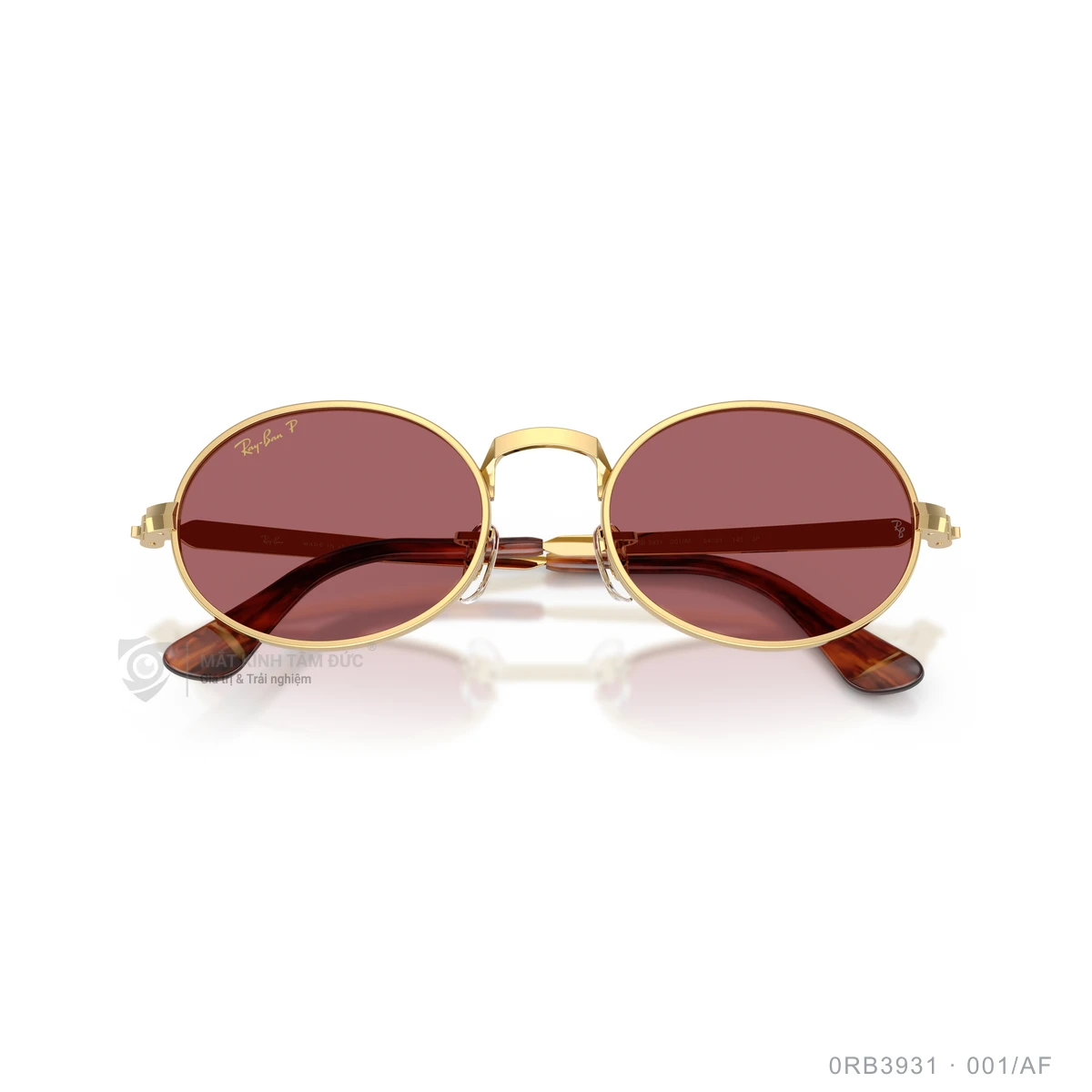 Kính mát Rayban 0RB3931 - Ảnh 28