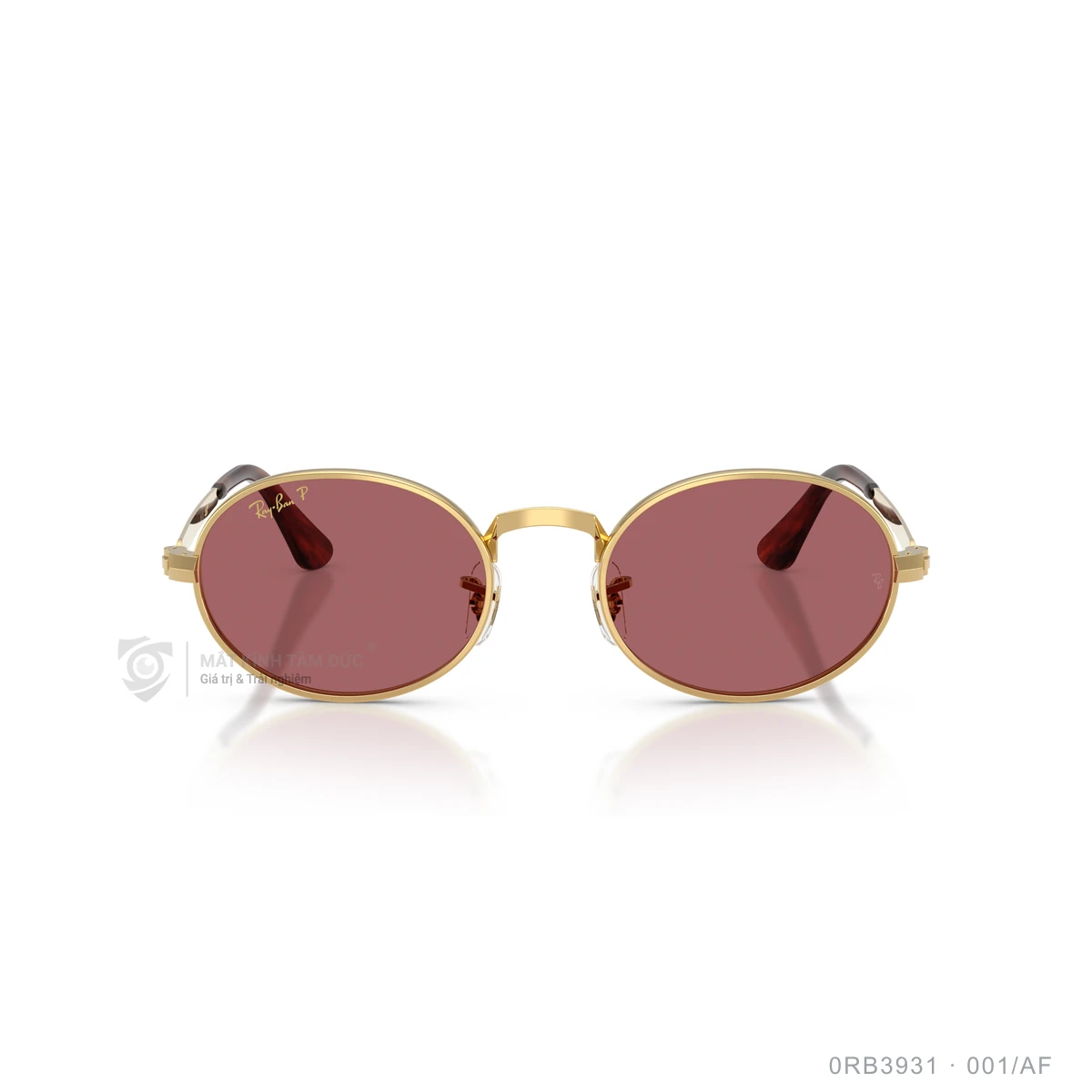 Kính mát Rayban 0RB3931 - Ảnh 26
