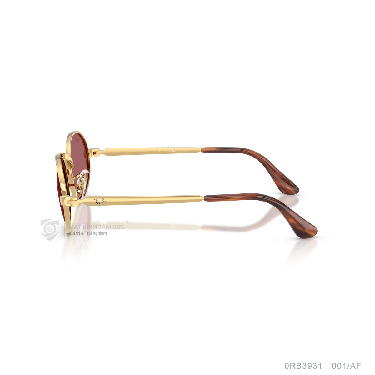 Kính mát Rayban 0RB3931 - Ảnh 29