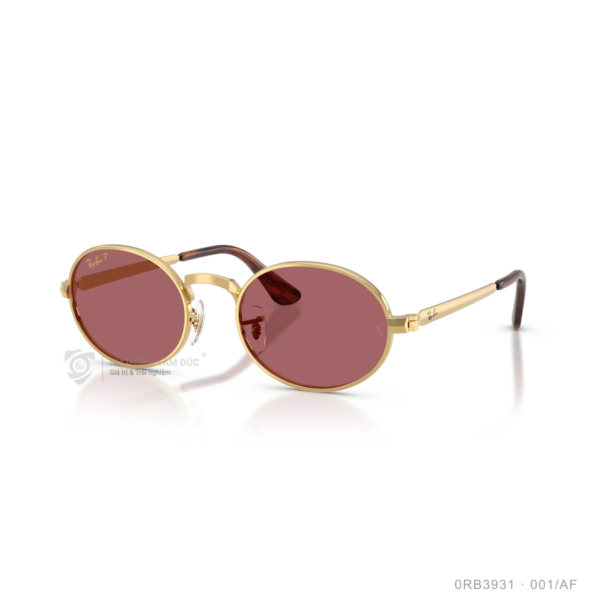Kính mát Rayban 0RB3931 - Ảnh 27