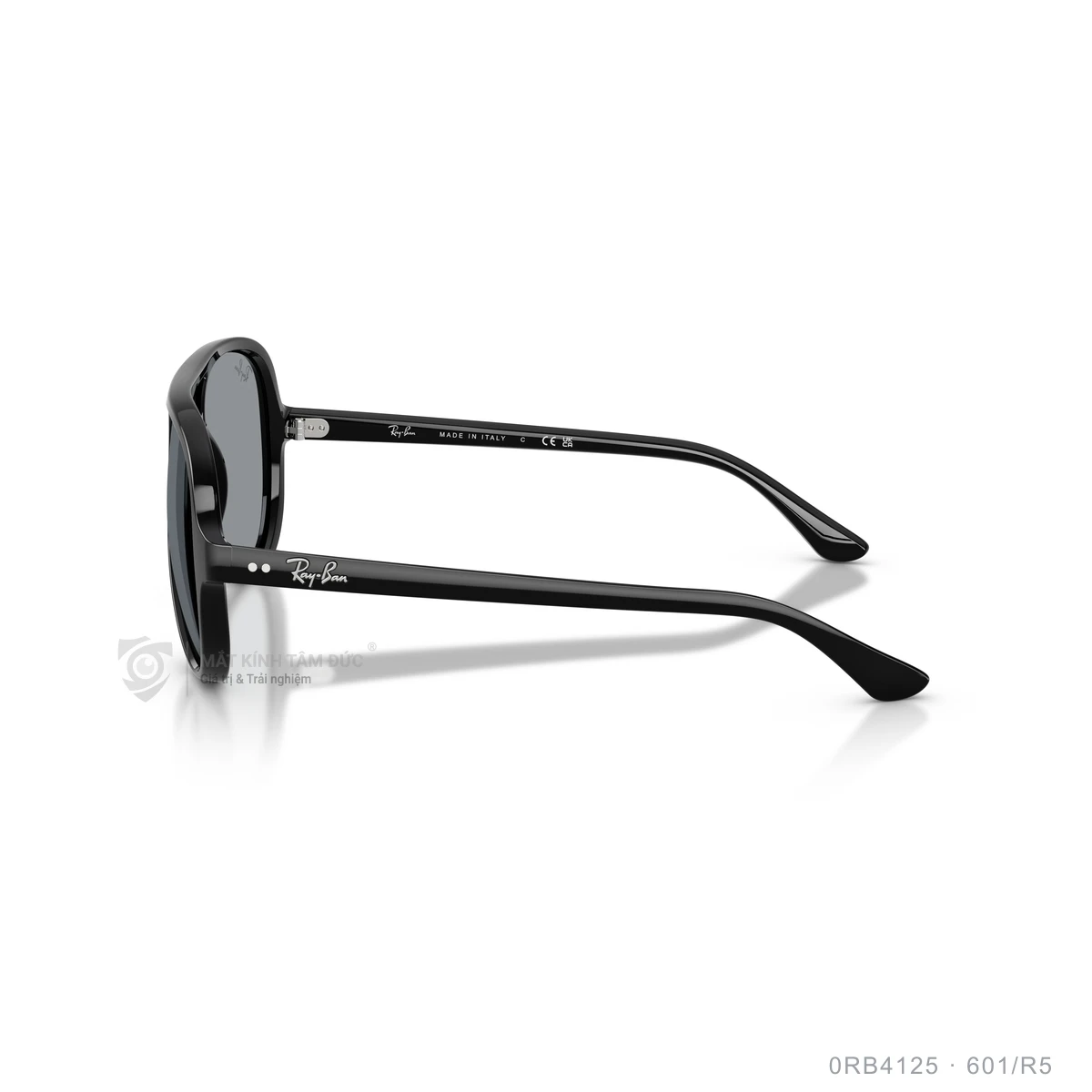Kính mát Rayban 0RB4125 - Ảnh 4