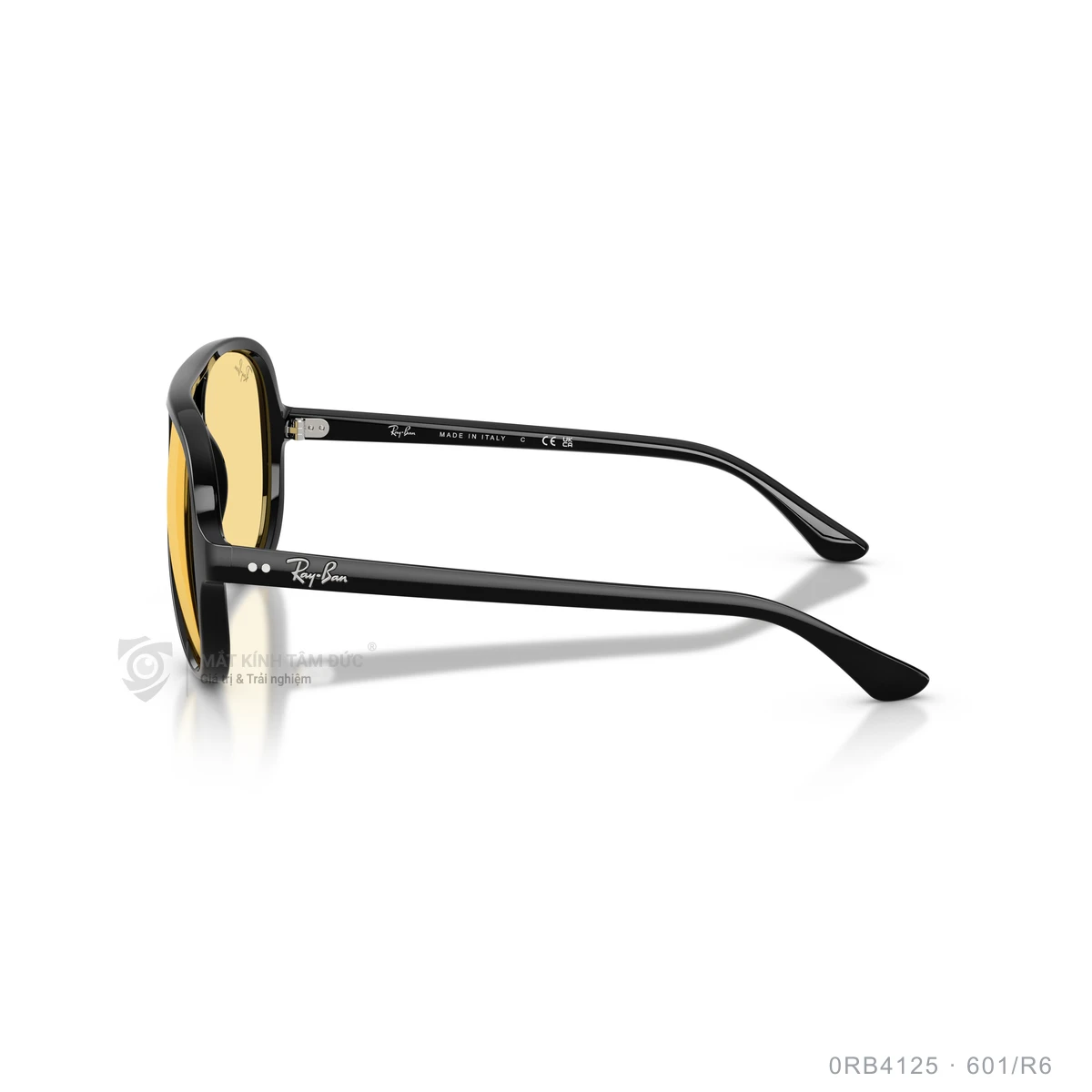 Kính mát Rayban 0RB4125 - Ảnh 14