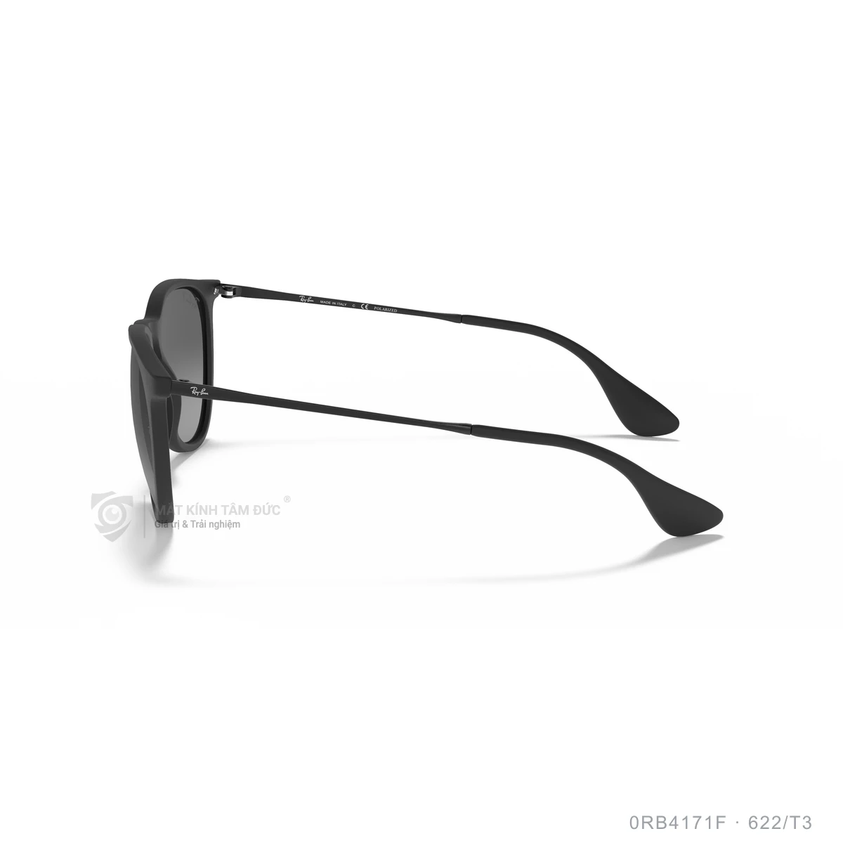 Kính mát Rayban 0RB4171F - Ảnh 19