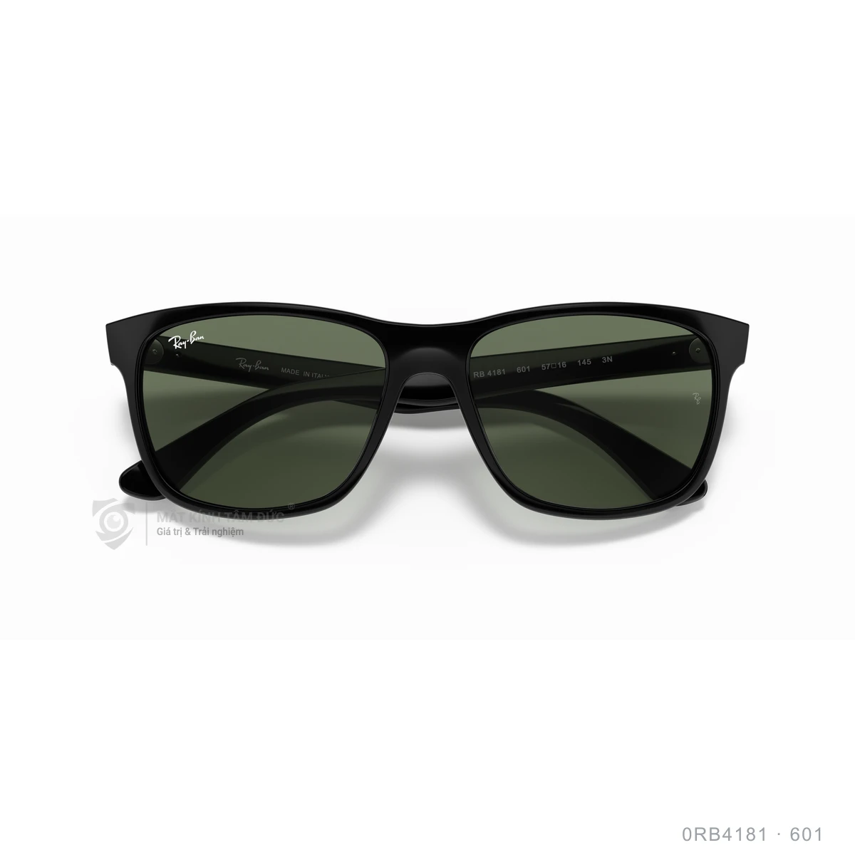 Kính mát Rayban 0RB4181 - Ảnh 3
