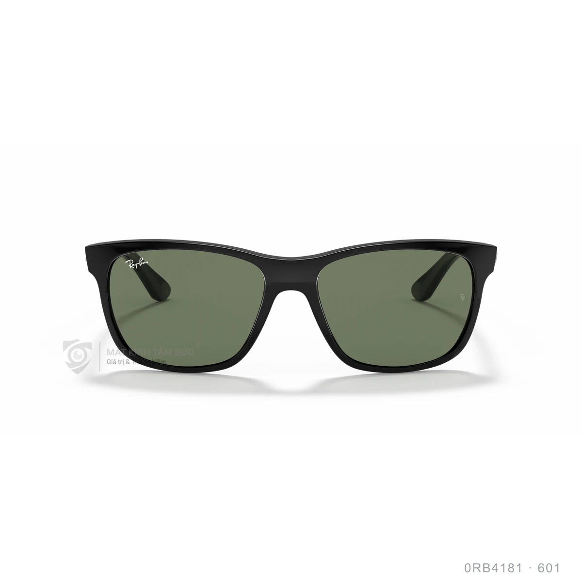 Kính mát Rayban 0RB4181 - Ảnh 1