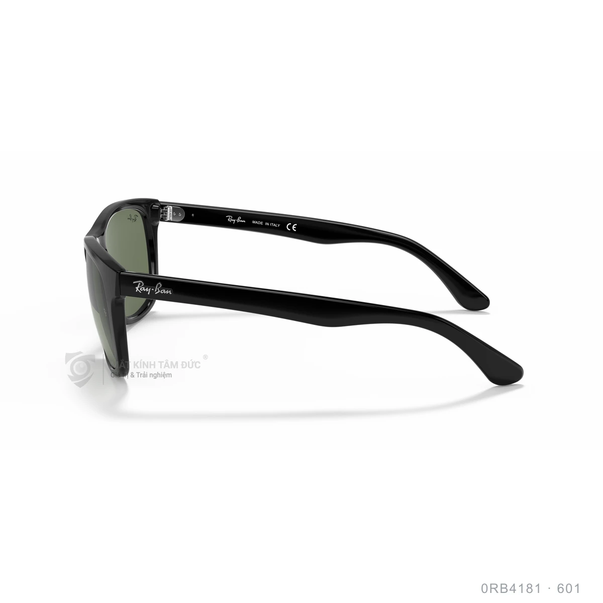 Kính mát Rayban 0RB4181 - Ảnh 4
