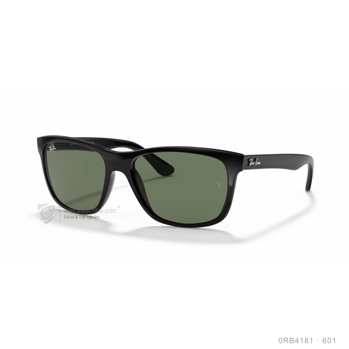 Kính mát Rayban 0RB4181 - Ảnh 2
