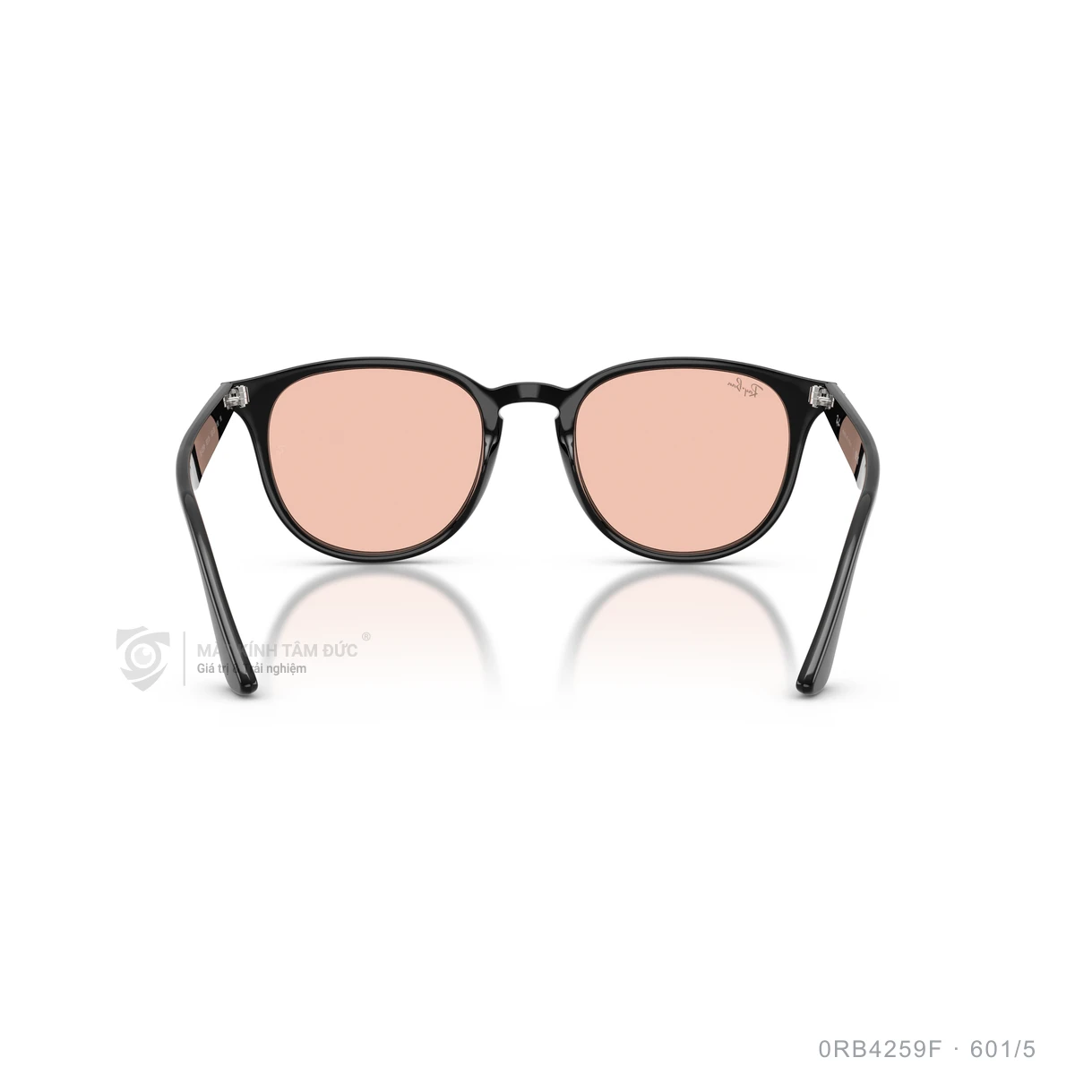 Kính mát Rayban 0RB4259F - Ảnh 35