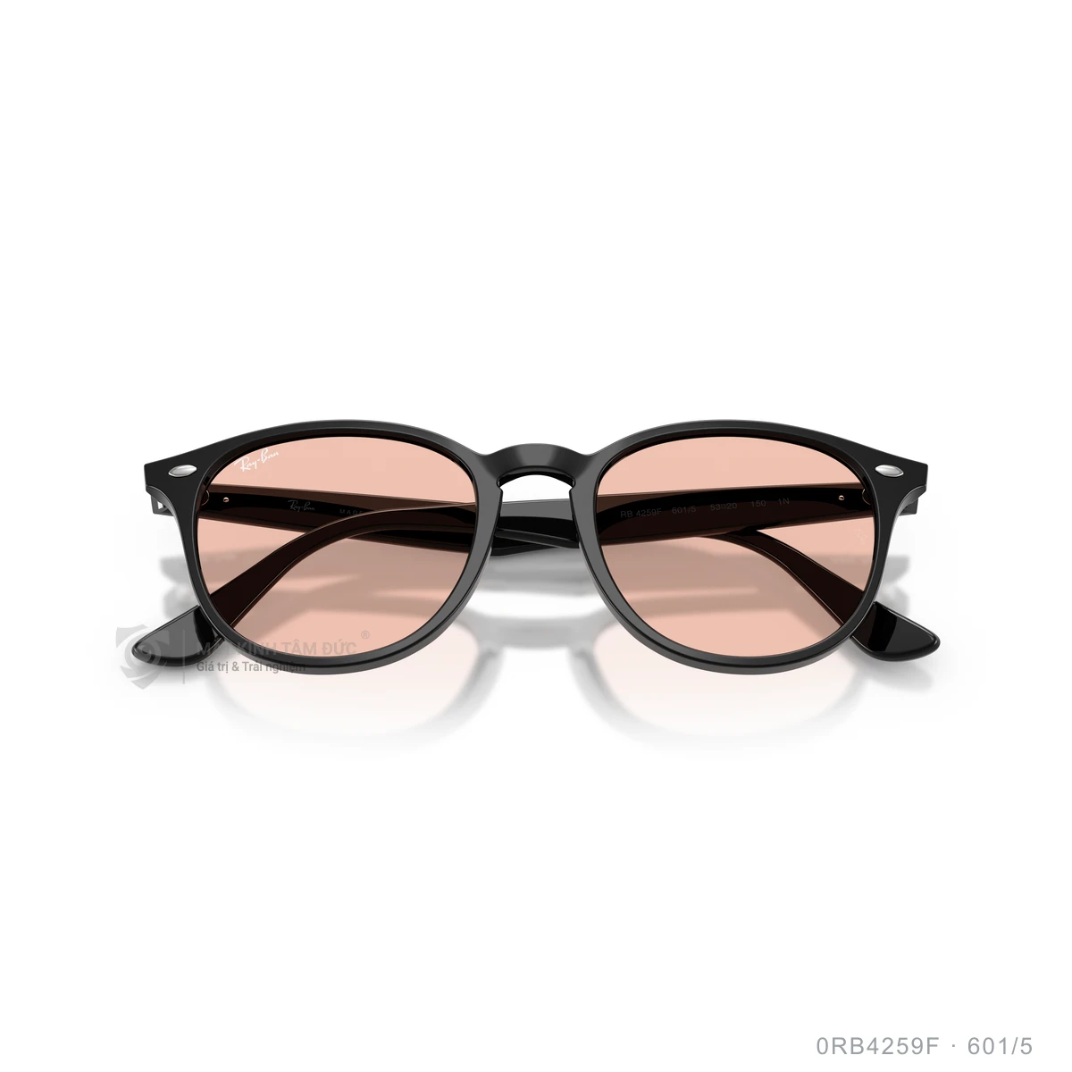 Kính mát Rayban 0RB4259F - Ảnh 33