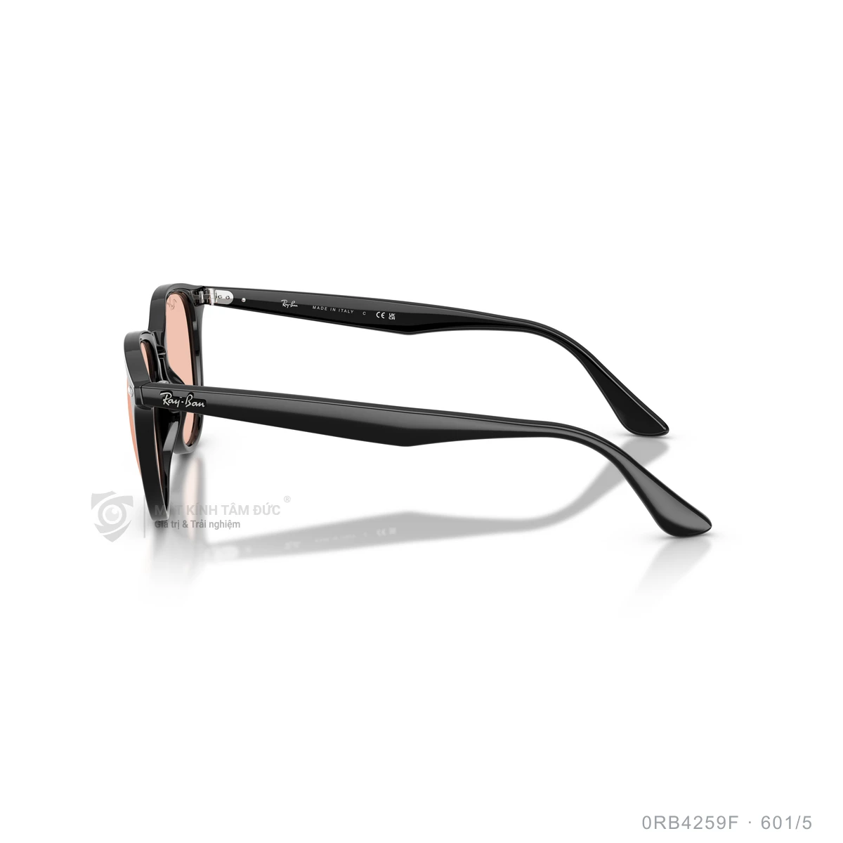 Kính mát Rayban 0RB4259F - Ảnh 34
