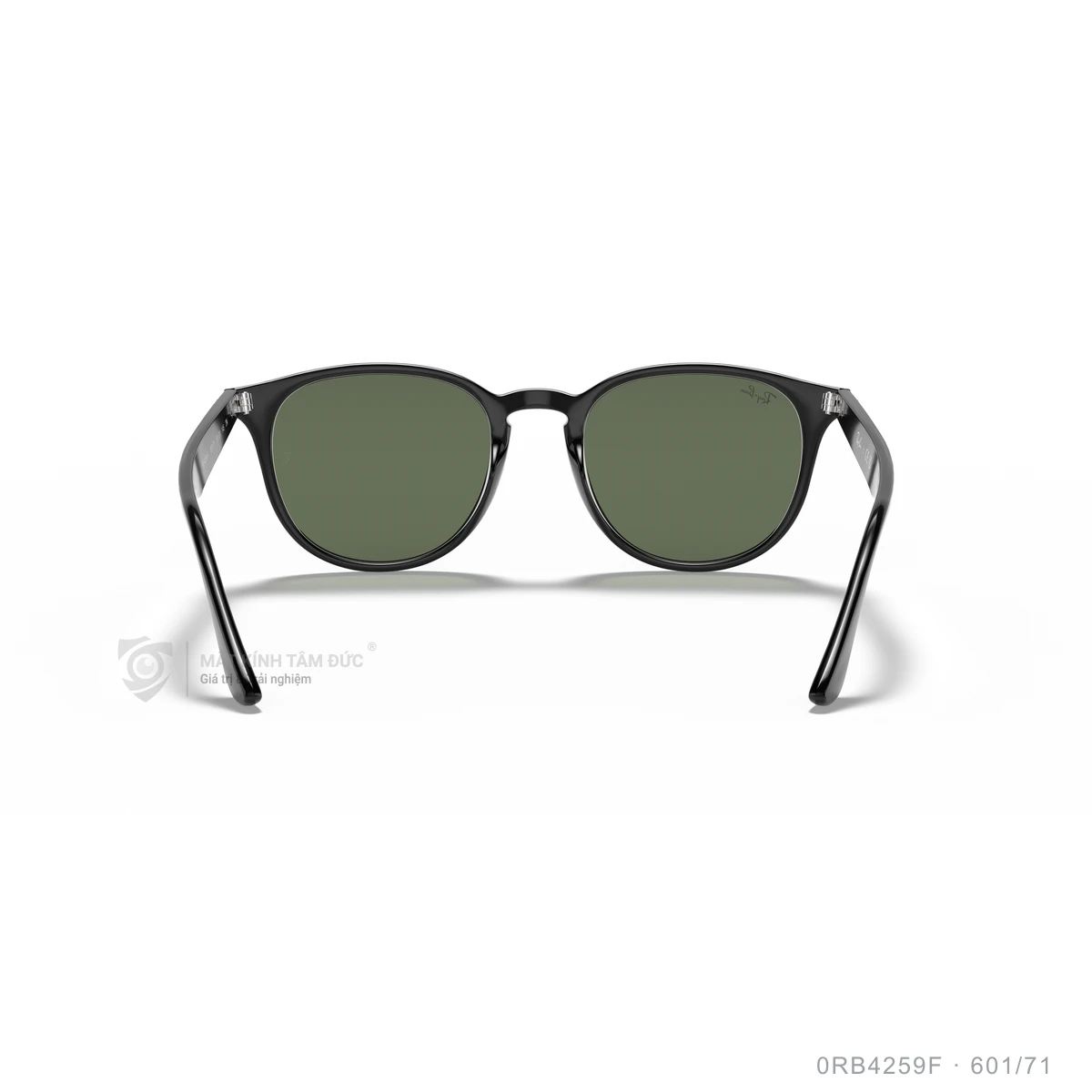 Kính mát Rayban 0RB4259F - Ảnh 40