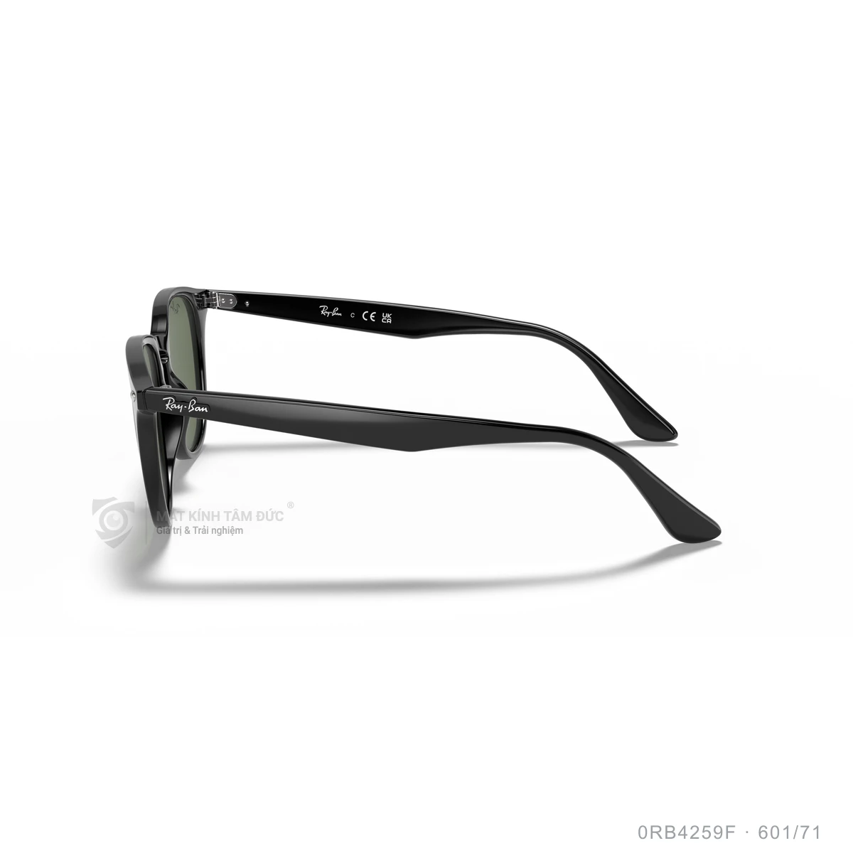 Kính mát Rayban 0RB4259F - Ảnh 39