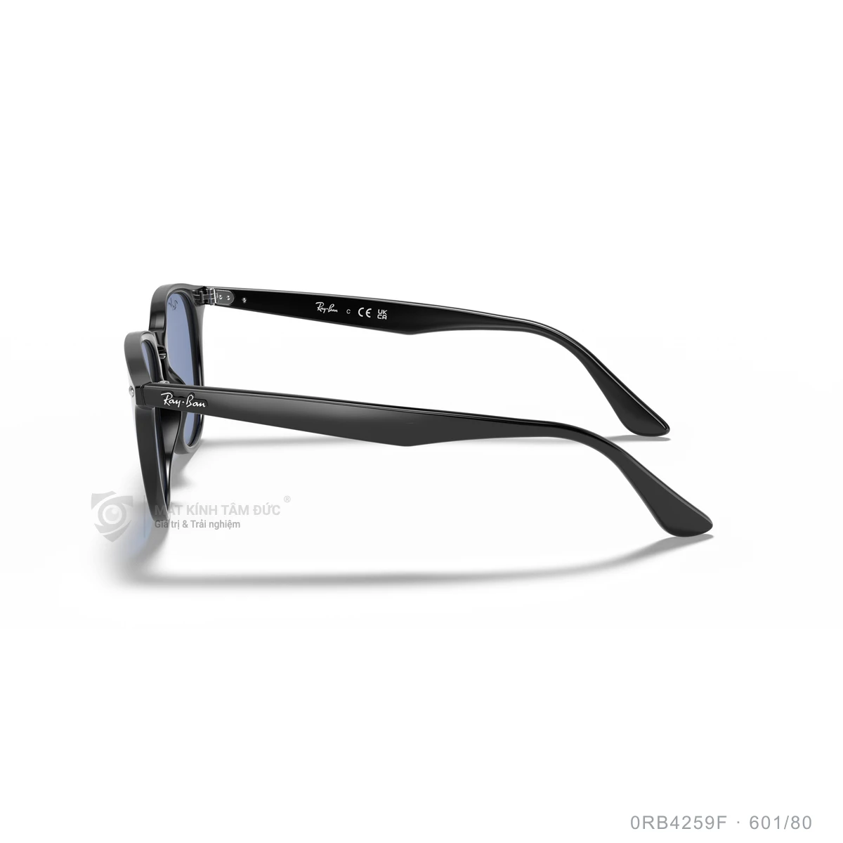 Kính mát Rayban 0RB4259F - Ảnh 44
