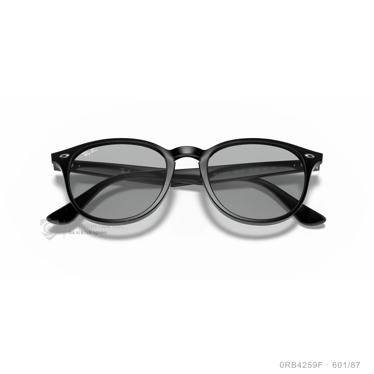 Kính mát Rayban 0RB4259F - Ảnh 13