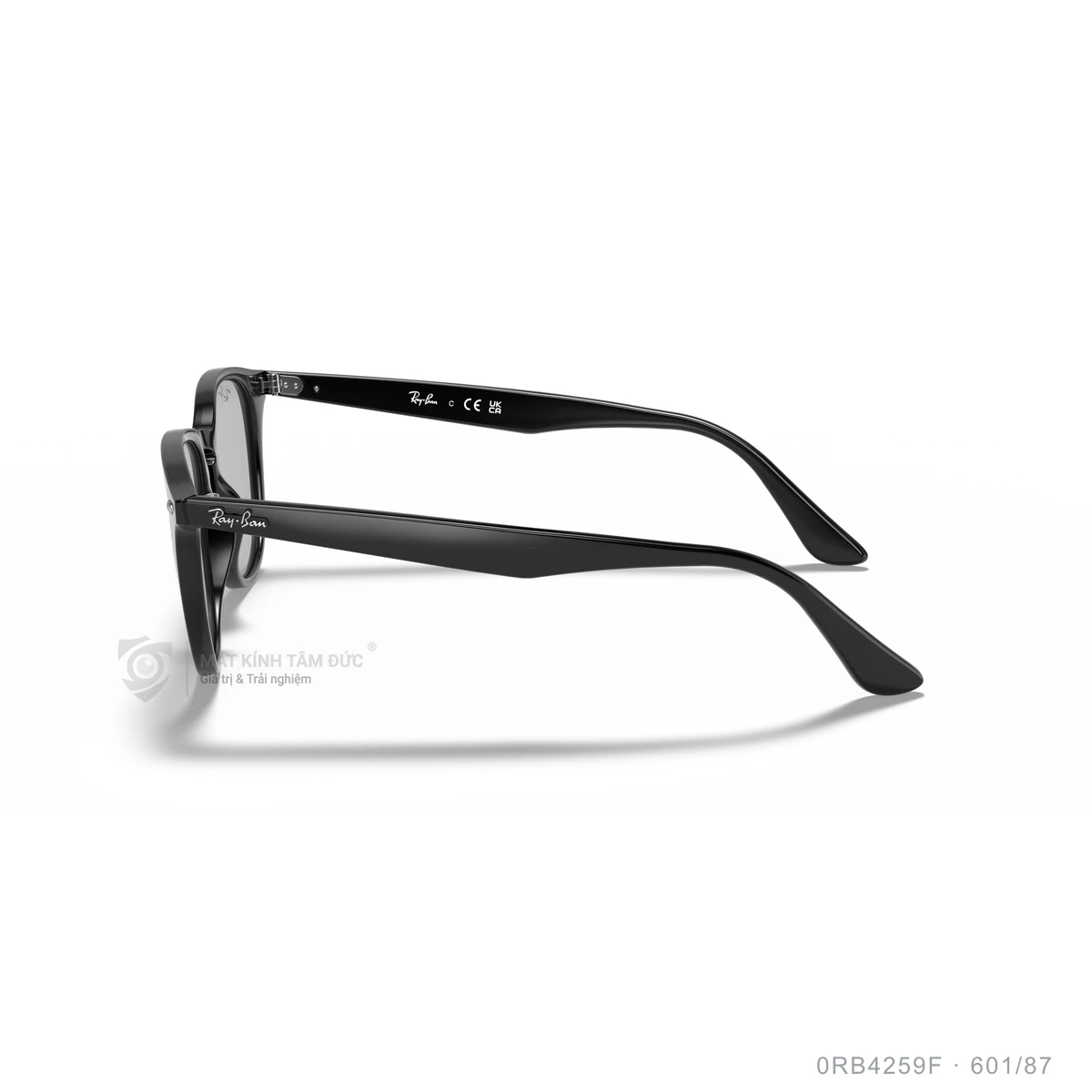 Kính mát Rayban 0RB4259F - Ảnh 14
