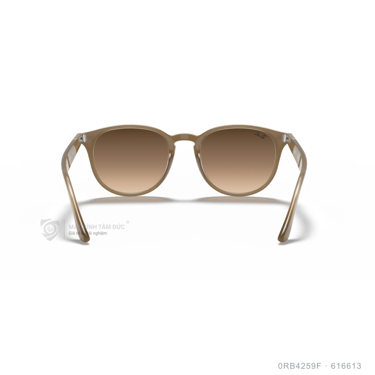 Kính mát Rayban 0RB4259F - Ảnh 50