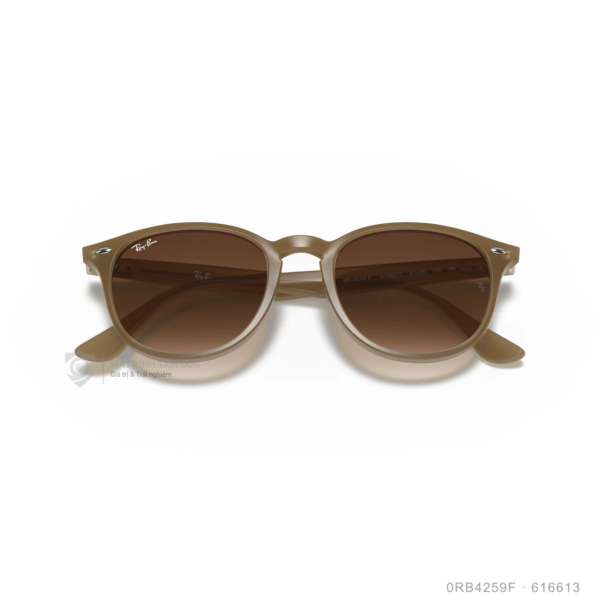 Kính mát Rayban 0RB4259F - Ảnh 48