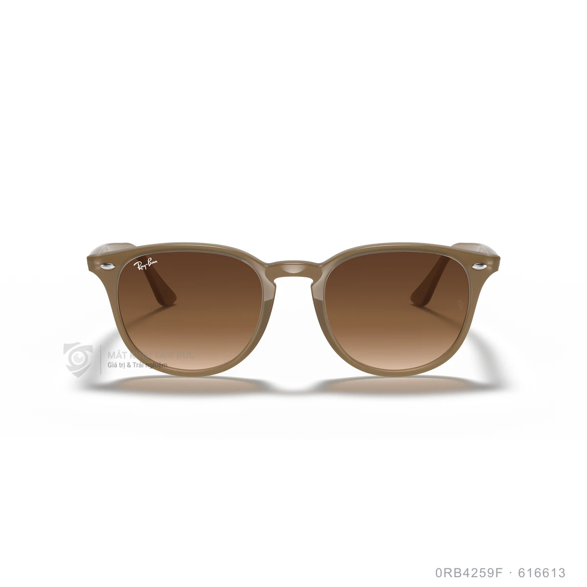 Kính mát Rayban 0RB4259F - Ảnh 46