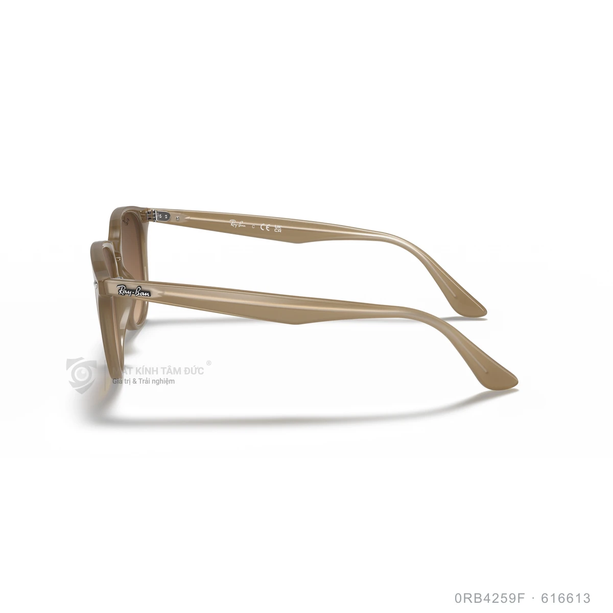 Kính mát Rayban 0RB4259F - Ảnh 49