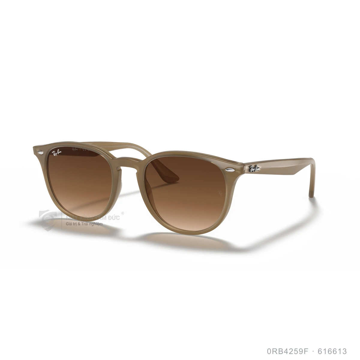 Kính mát Rayban 0RB4259F - Ảnh 47
