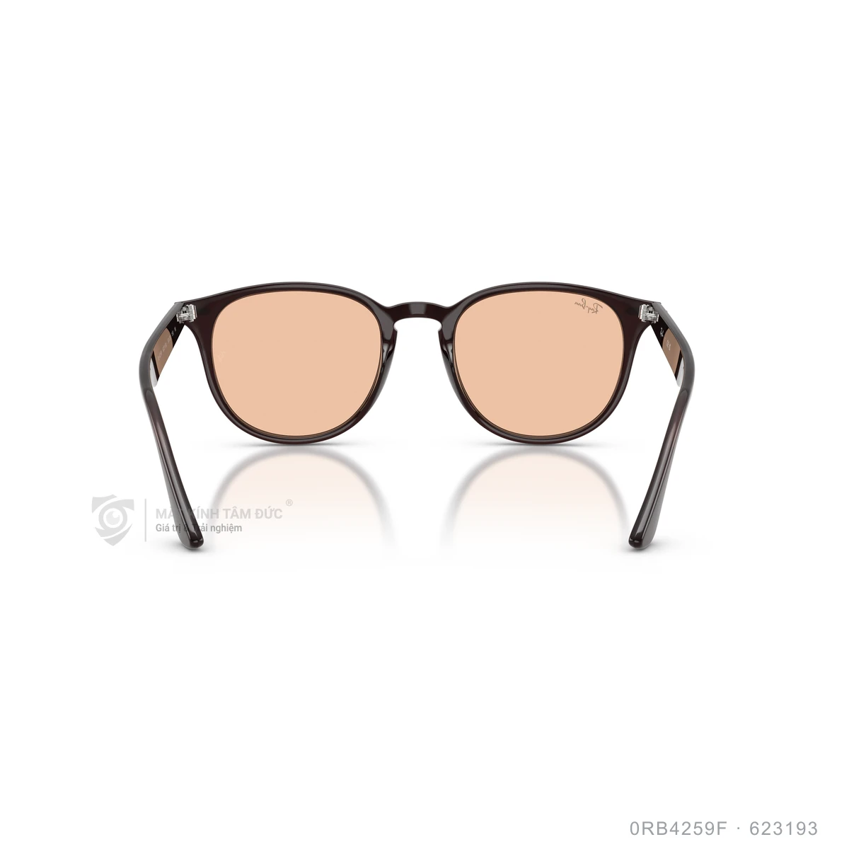 Kính mát Rayban 0RB4259F - Ảnh 25